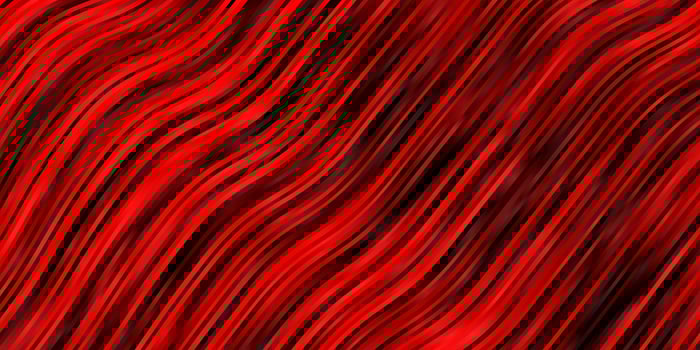 Dark Red vector background with curved lines.