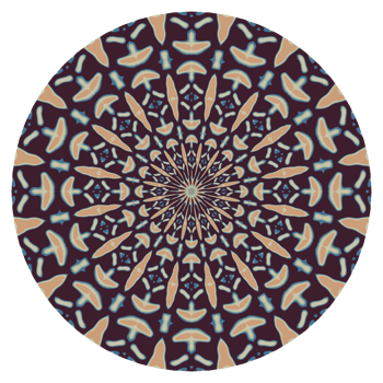 Mandala circle illustration png