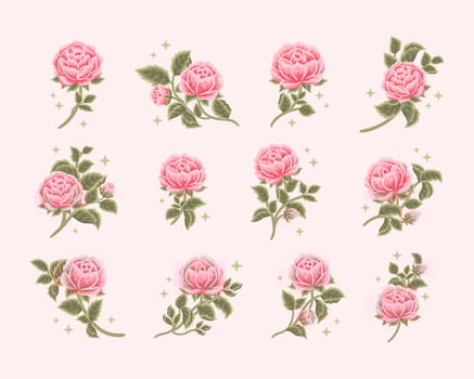 Collection of vintage romantic rose flower bud feminine logo, beauty label, branding elements vector