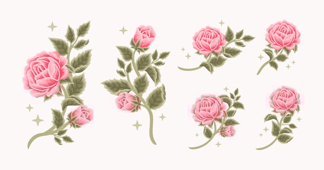 Collection of vintage romantic rose flower bud feminine logo, beauty label, branding elements vector
