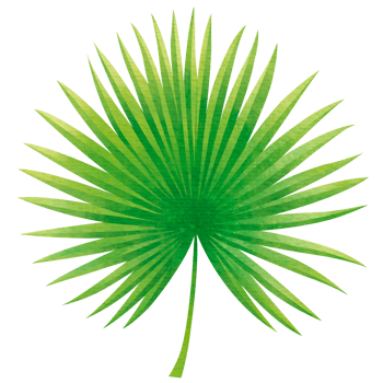 Green Palm Leaf png