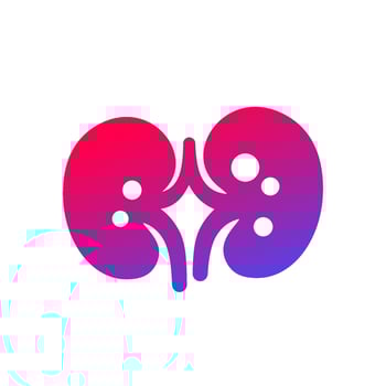 kidney stones and renal pain icon vector