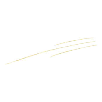 Gold Glitter Line png