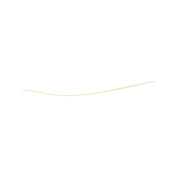 Gold Glitter Line png