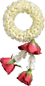 jasmine garland symbol of Mothers day in thailand on white background with clipping path png