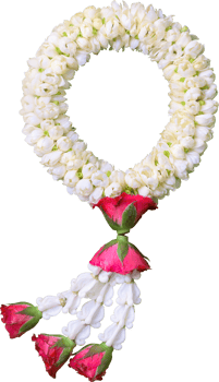 jasmine garland symbol of Mothers day in thailand on white background with clipping path png
