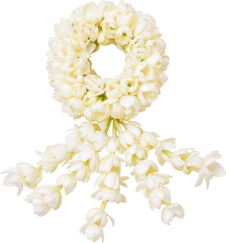 jasmine garland symbol of Mothers day in thailand png