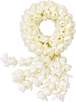 jasmine garland symbol of Mothers day in thailand png