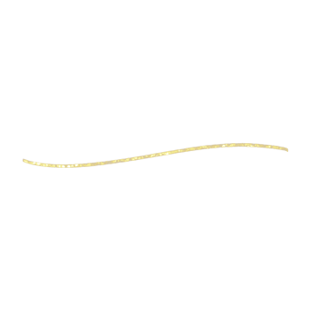 Gold Glitter Line png