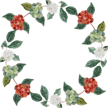 watercolor coffee branch berry wreath frame png