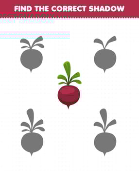 Education game for children find the correct shadow set of cartoon vegetable beet vector