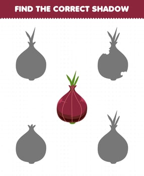 Education game for children find the correct shadow set of cartoon vegetable shallot vector