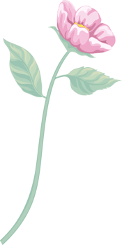 Rose Flower and botanical leaf digital painted png