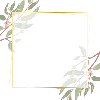 beautiful minimal seeded eucalyptus leaves square banner golden frame background for banner png