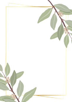 beautiful minimal seeded eucalyptus leaves with golden frame background for birthday or wedding invitation card template png