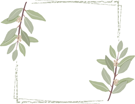 minimal hand drawn eucalyptus wreath frame for wedding invitation or logo png