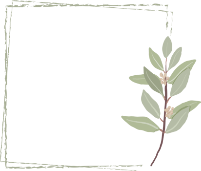 minimal hand drawn eucalyptus wreath frame for wedding invitation or logo png