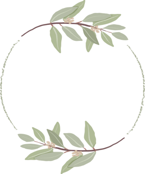 minimal hand drawn eucalyptus wreath frame for wedding invitation or logo png