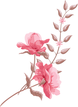Rose Flower and botanical leaf digital painted png