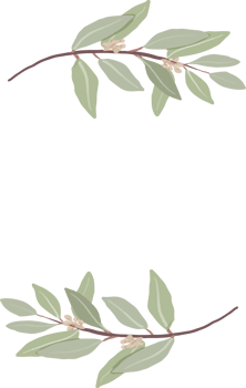 minimal hand drawn eucalyptus wreath frame for wedding invitation or logo png