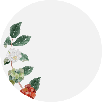 watercolor coffee seed and flower  branch bouquet sticker png