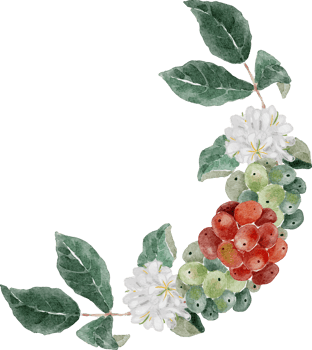 watercolor coffee seed and flower  branch bouquet png