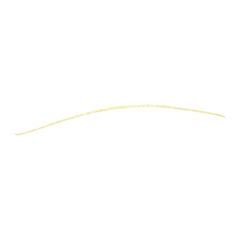 Gold Glitter Line png