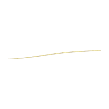 Gold Glitter Line png