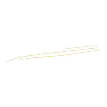 Gold Glitter Line png
