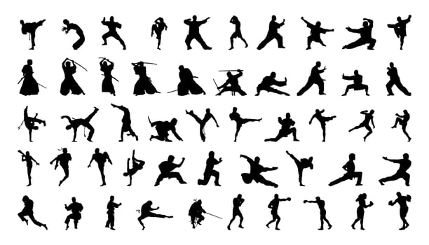 Set of Silhouettes of Martial Arts vector