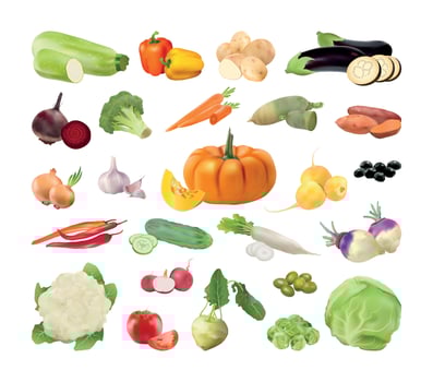 Set of Vegetables vector
