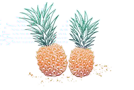 Pineapple sketch. Summer set. Hand drawn illustration. vector