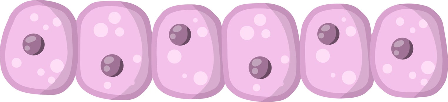 Cell of human organism. Cartoon flat illustration vector
