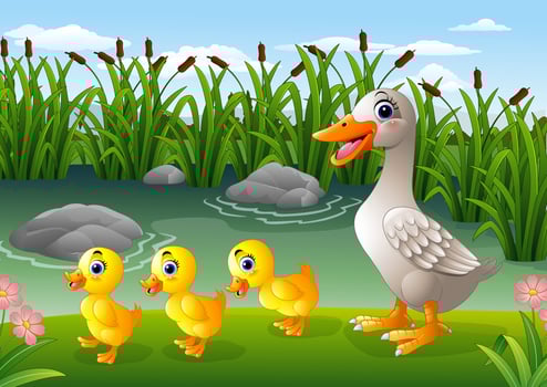 Cartoon ducks family vector