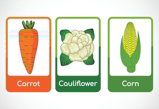 Vegetable flashcards for kids. Educational cards for preschool. Printable vector illustration