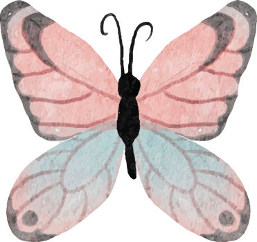 watercolor hand drawn colorful butterfly png
