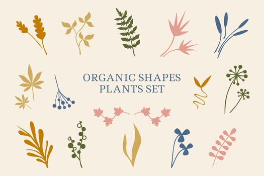 Set of abstract plants, leaves, organic shapes. Hand drawn minimalistic design for banner, cover, wallpaper, textile, stories background decoration. Vector illustration
