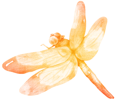 Dragonfly watercolor illustration png