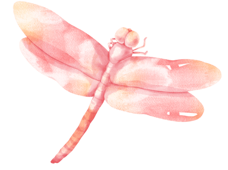 Dragonfly watercolor illustration png