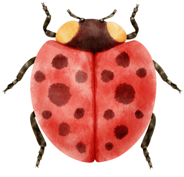 Ladybug watercolor painted png