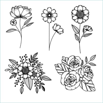 Set of Flower Sketch vector