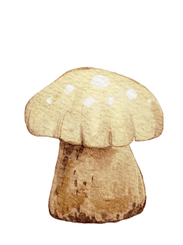 Mushroom on transparent background, Watercolour illustration Cute cartoon elements of wild nature plant png