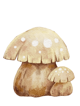 Mushroom on transparent background, Watercolour illustration Cute cartoon elements of wild nature plant png