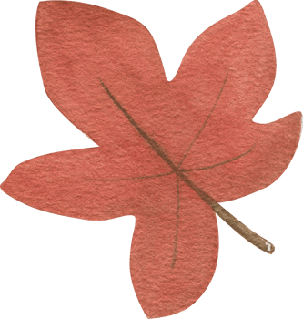 Waterolor maple leaf for postcards, invitations and scrapbooking. Hand drawn. png