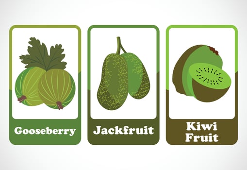 Fruit flashcards for kids. Educational cards for preschool. Printable vector illustration