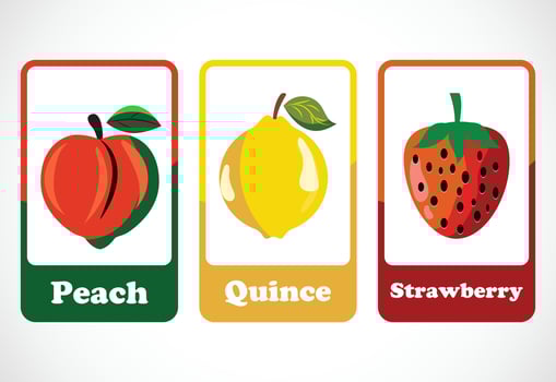 Fruit flashcards for kids. Educational cards for preschool. Printable vector illustration