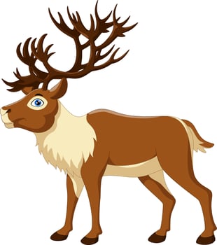 Cute deer cartoon on white background vector