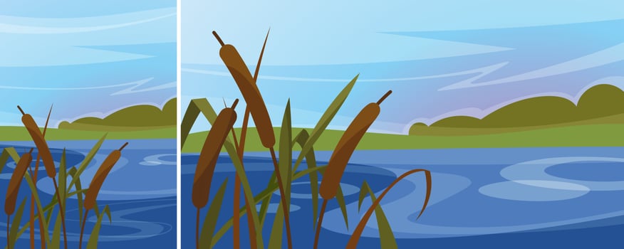 Landscape with reeds on the river. Natural scenery in different formats. vector