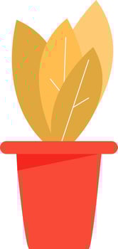 Houseplant growing in pot semi flat color vector object. Home decor. Exotic plant. Full sized item on white. Garden simple cartoon style illustration for web graphic design and animation