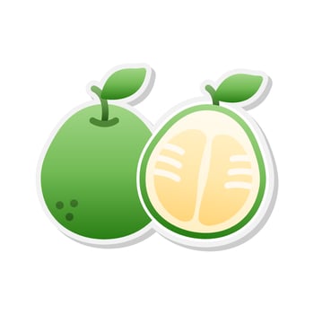 Pomelo fruit sticker icon, Vector, Illustration. vector